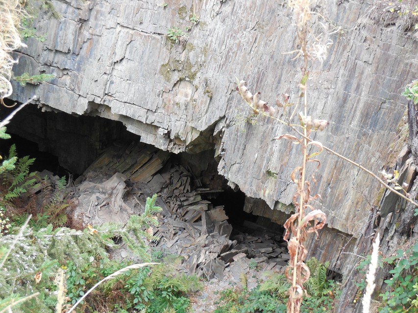 img00035.jpg