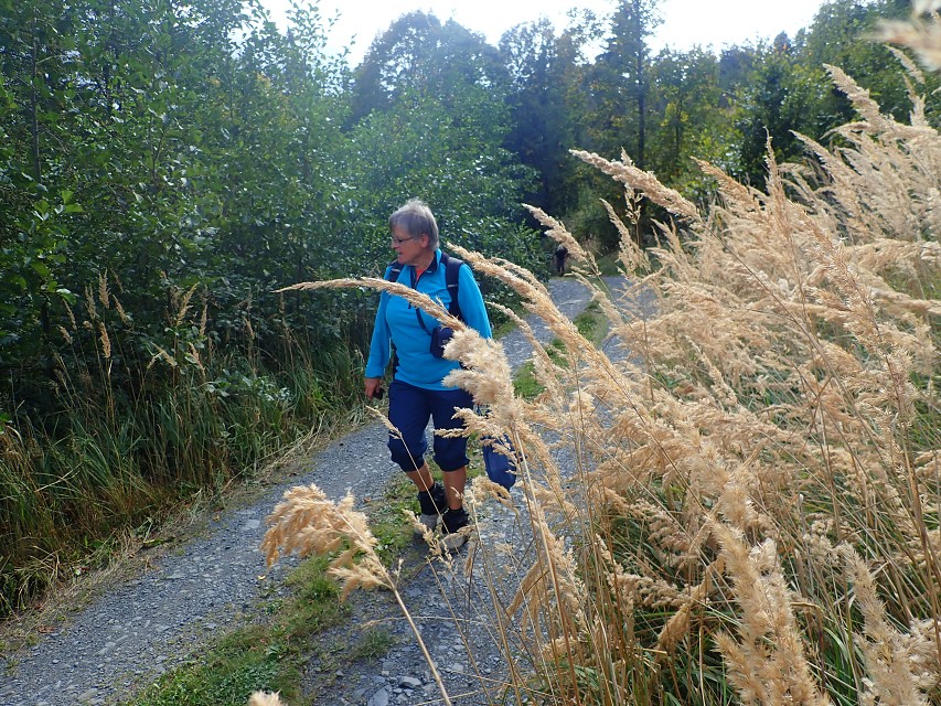 img00045.jpg