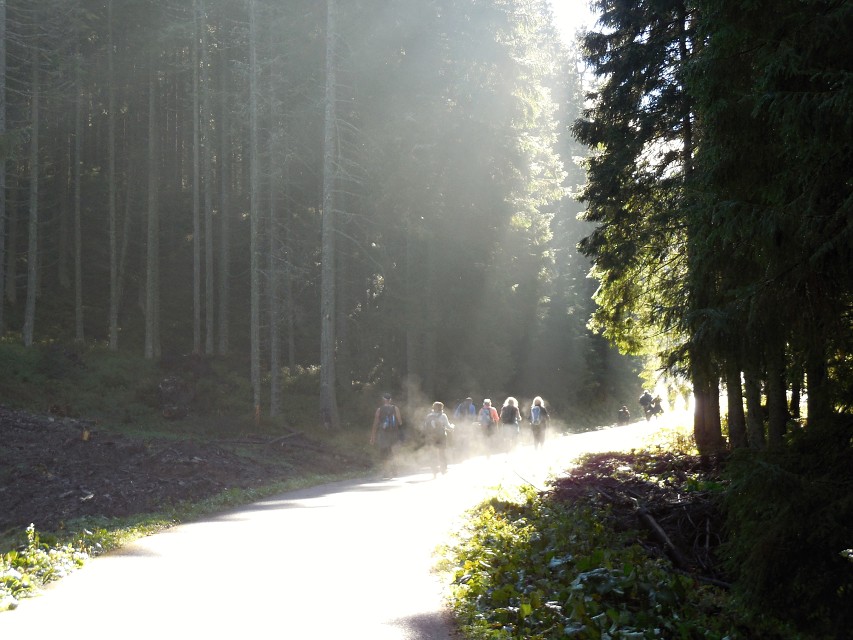 img00004.jpg