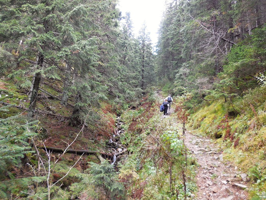 img00013.jpg