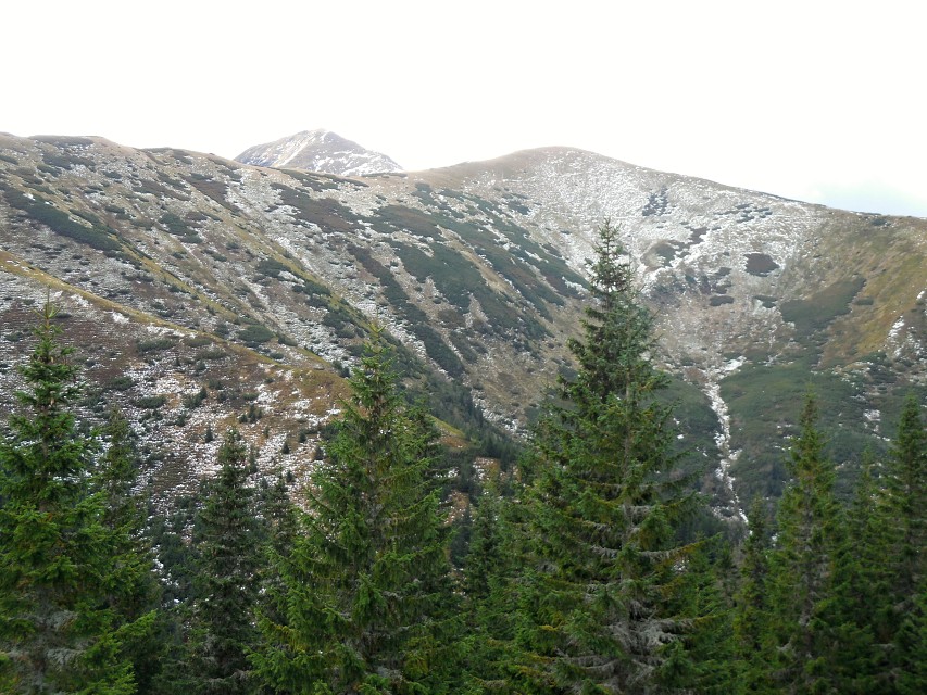 img00015.jpg