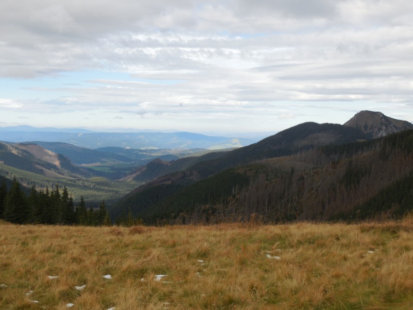 img00018.jpg