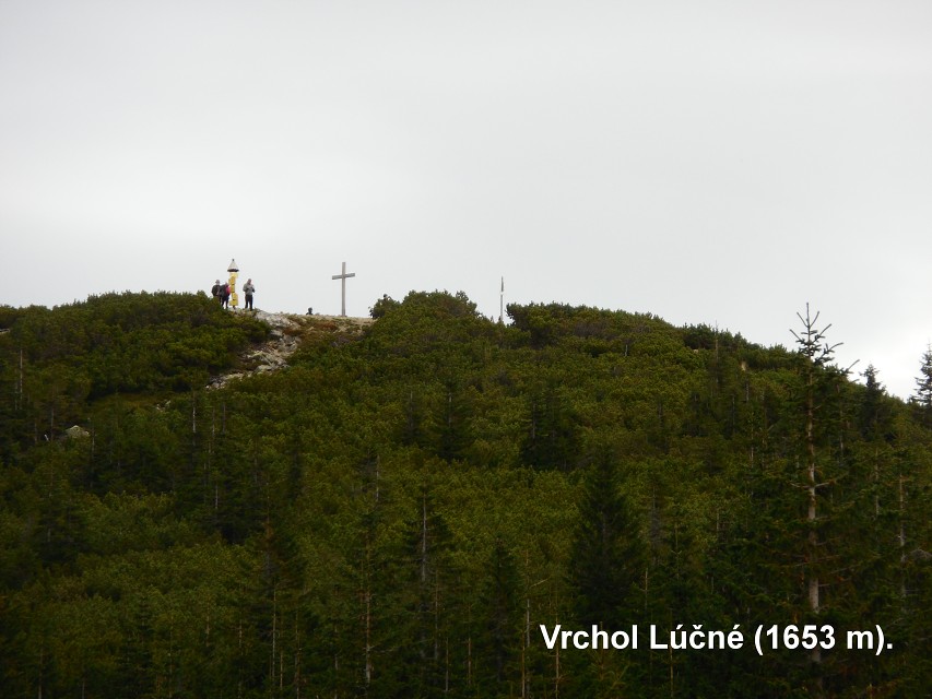 img00020.jpg