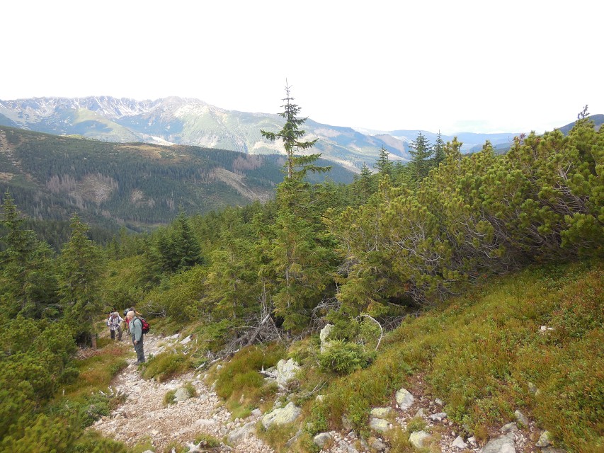 img00022.jpg