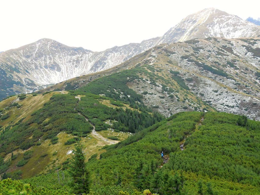 img00023.jpg