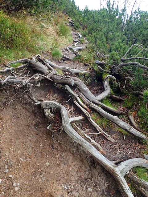 img00038.jpg
