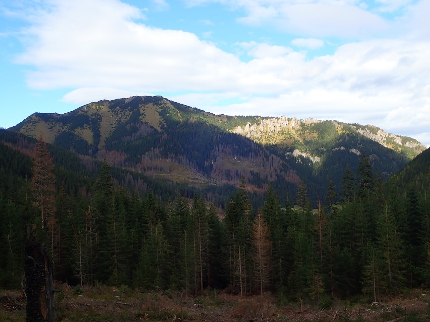 img00058.jpg