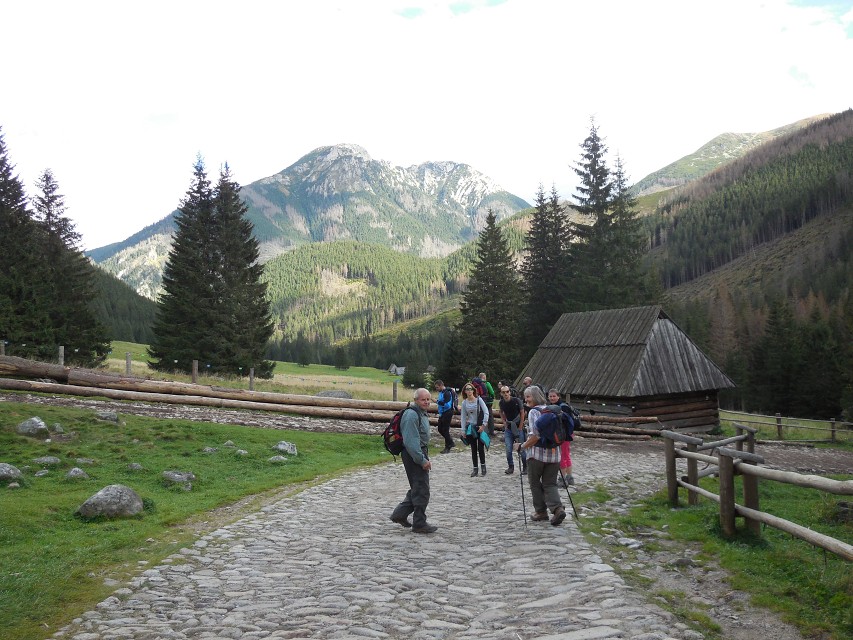 img00063.jpg
