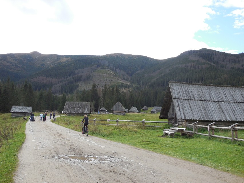 img00067.jpg