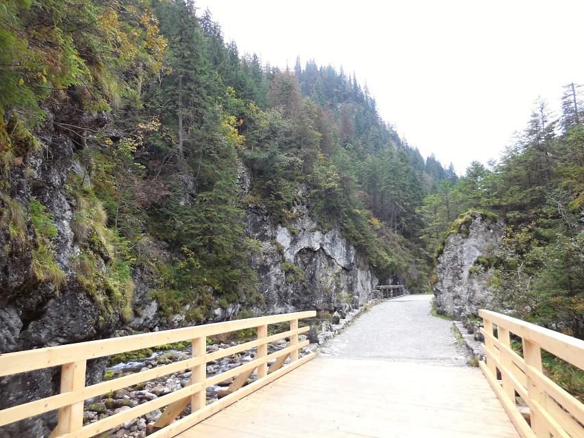img00080.jpg