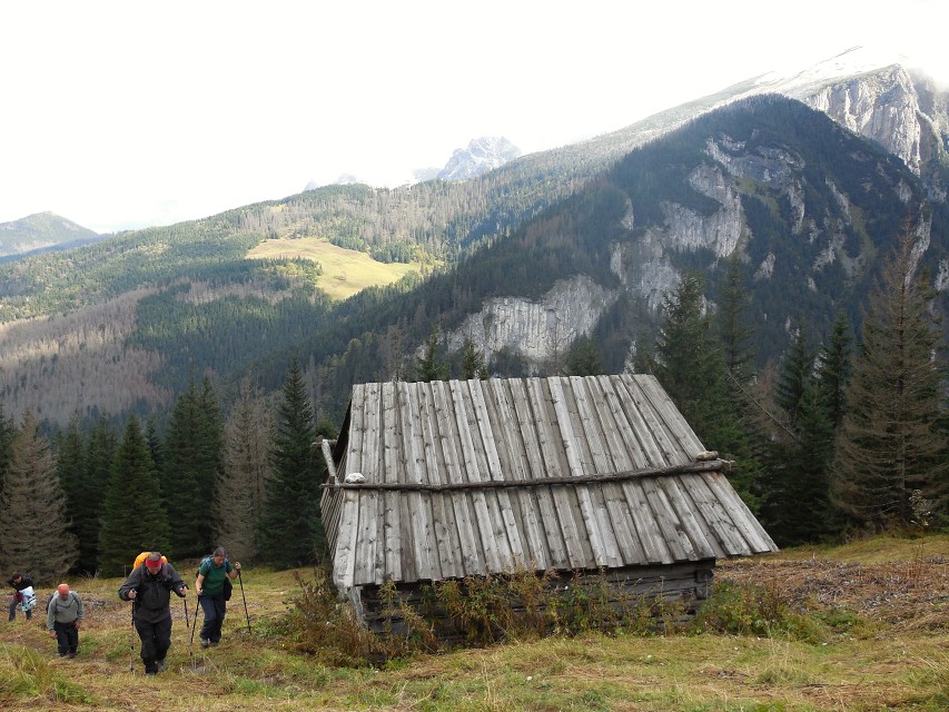 img00091.jpg