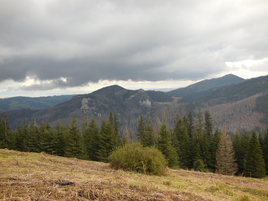 img00095.jpg