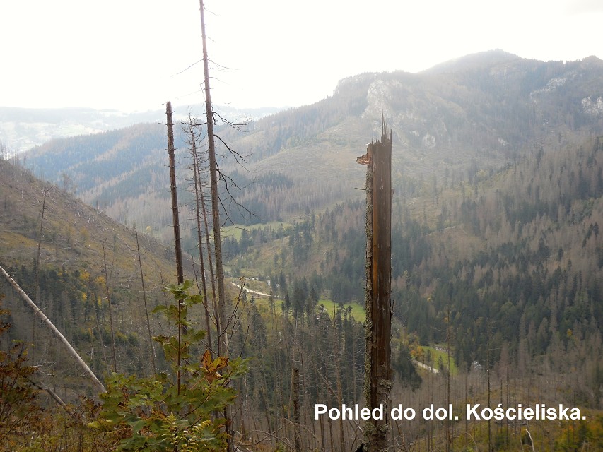 img00096.jpg