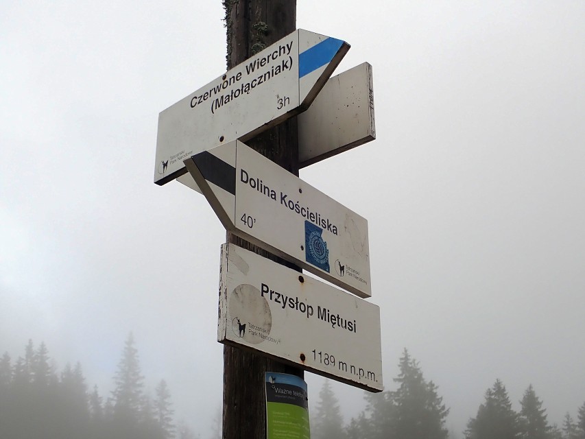 img00104.jpg