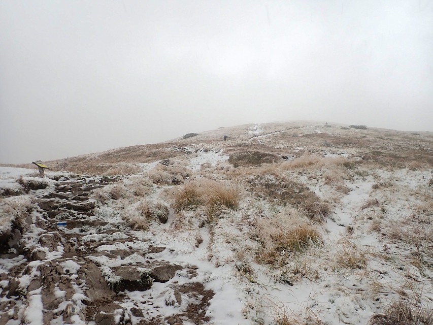 img00113.jpg