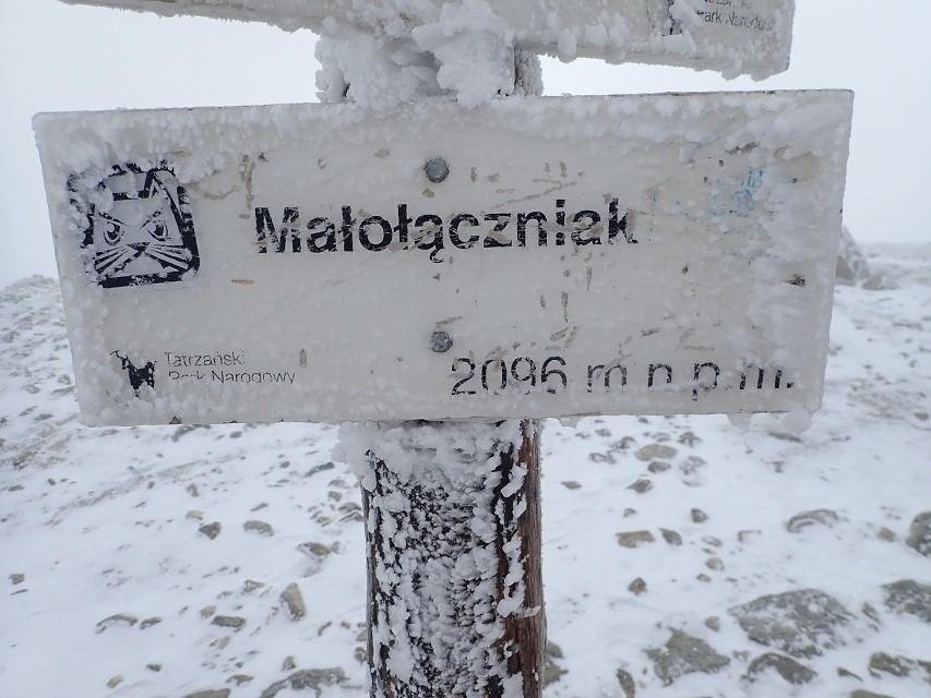 img00115.jpg