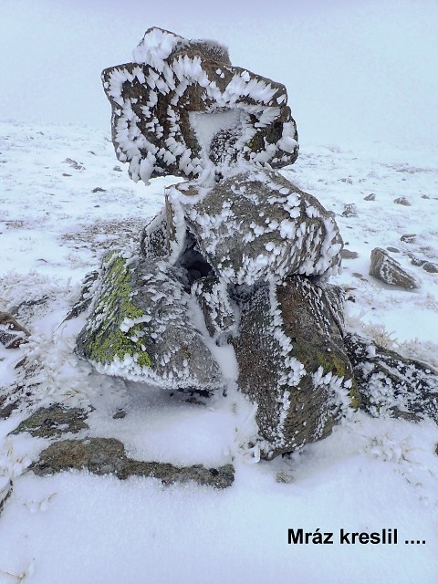 img00116.jpg