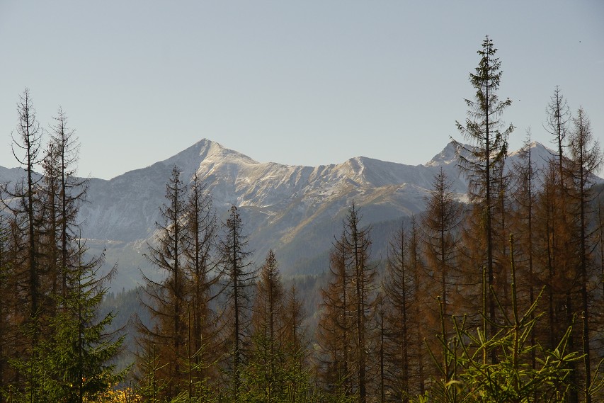 img00155.jpg