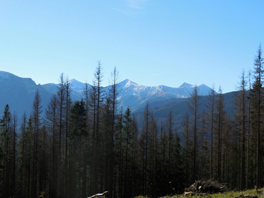 img00158.jpg