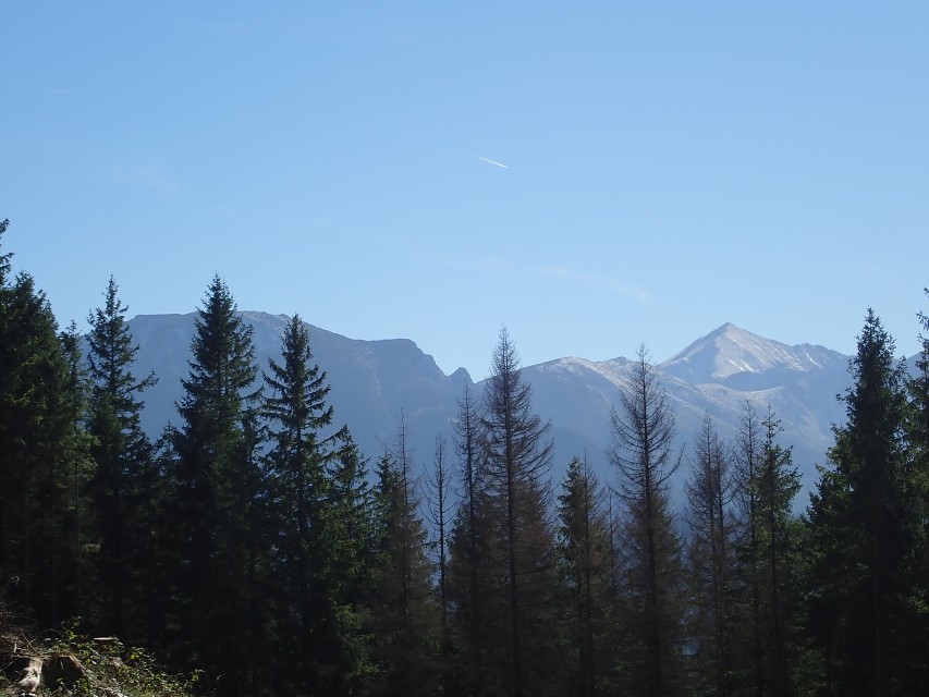 img00165.jpg