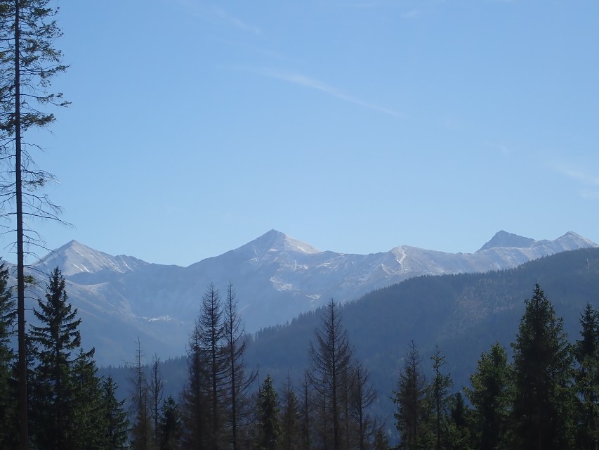 img00166.jpg