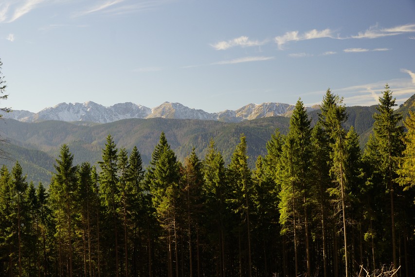 img00172.jpg
