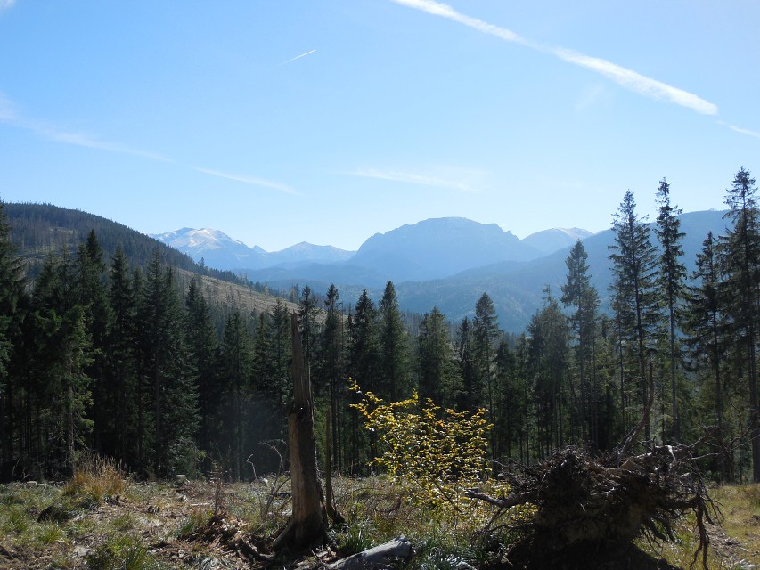 img00175.jpg