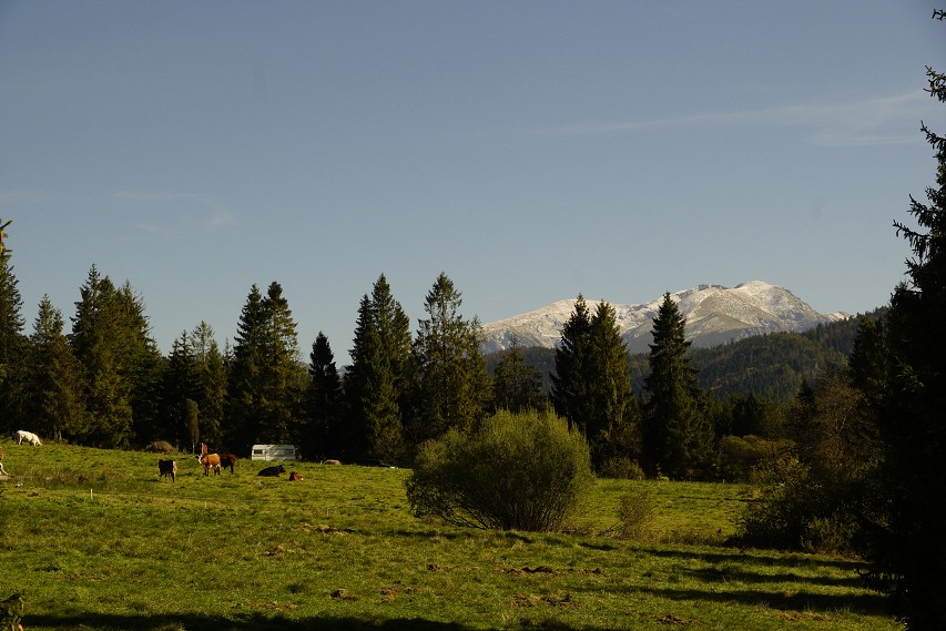 img00178.jpg
