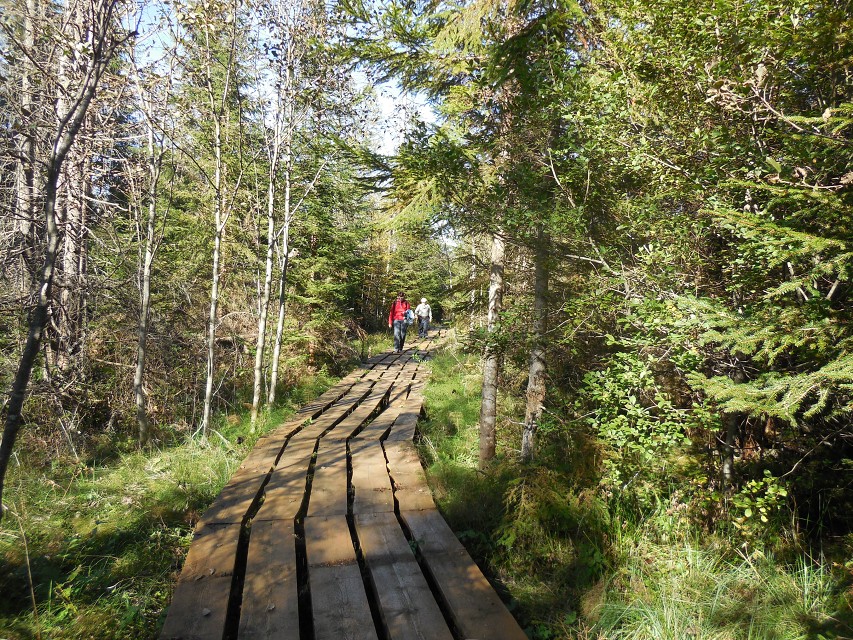 img00183.jpg
