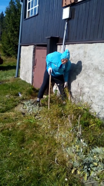 img00010.jpg