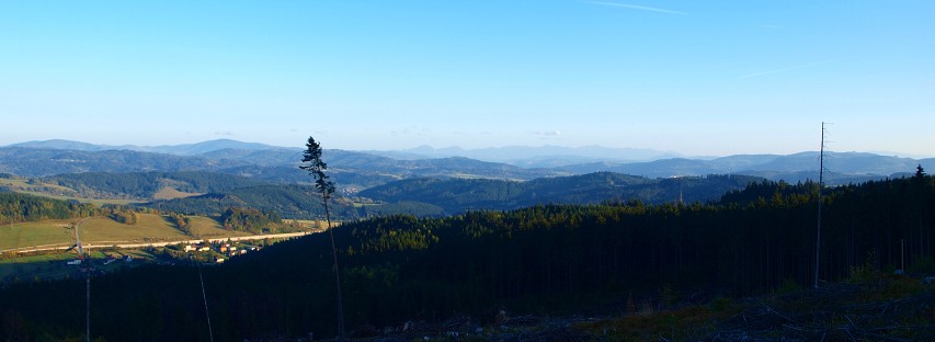 img00028.jpg