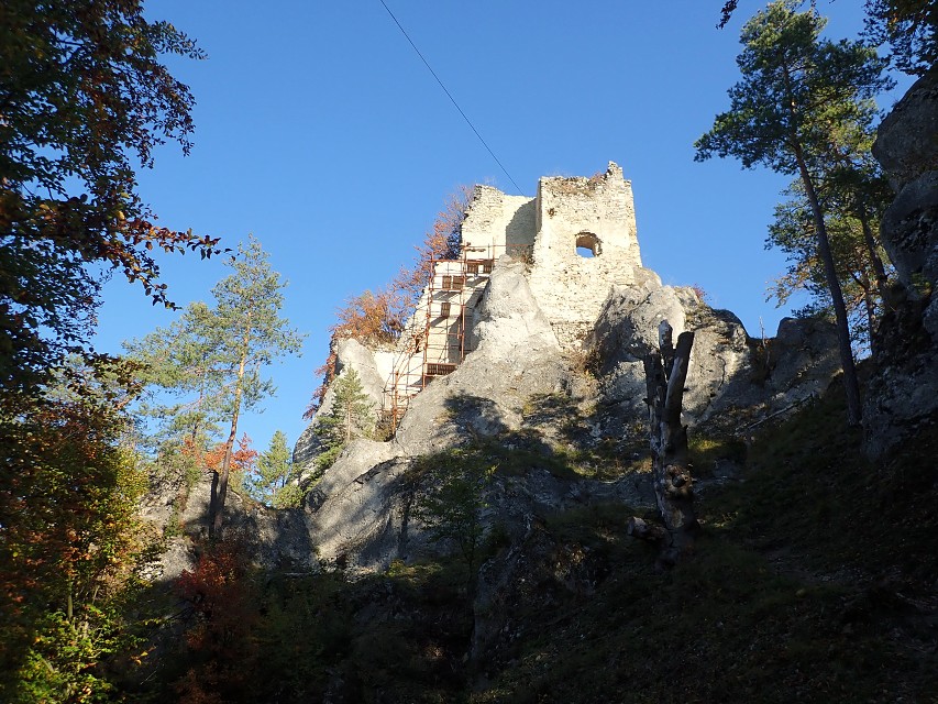 img00008.jpg