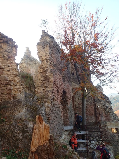 img00011.jpg