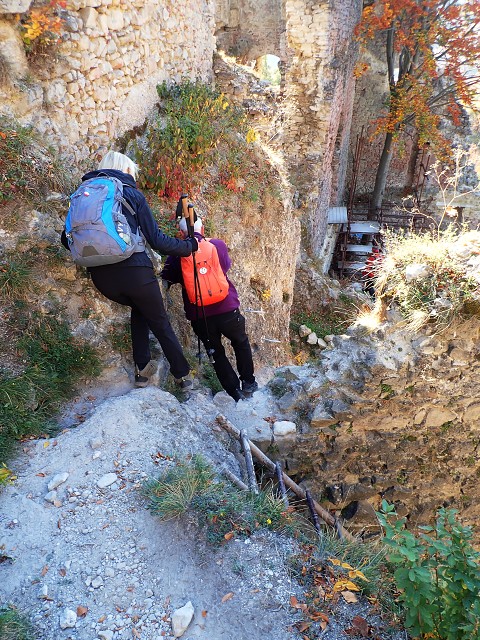 img00021.jpg