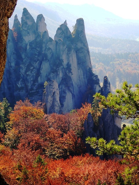 img00029.jpg