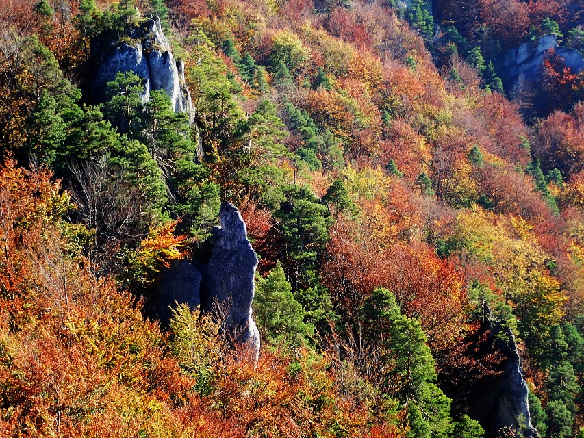 img00030.jpg