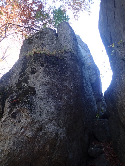 img00035.jpg