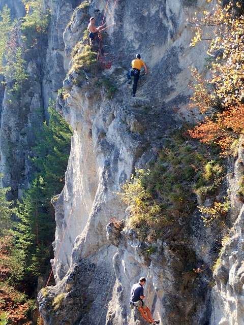 img00043.jpg