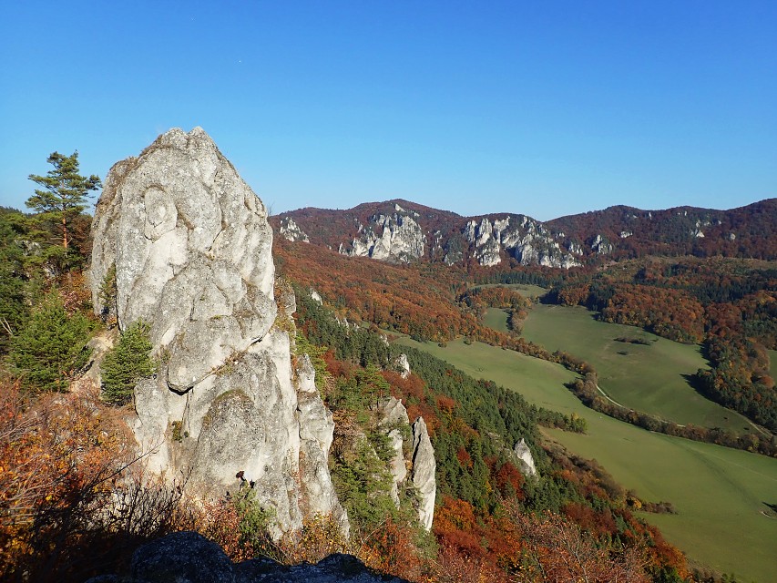 img00055.jpg