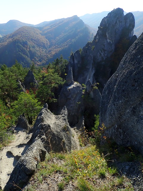 img00059.jpg