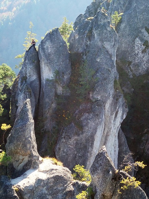 img00060.jpg