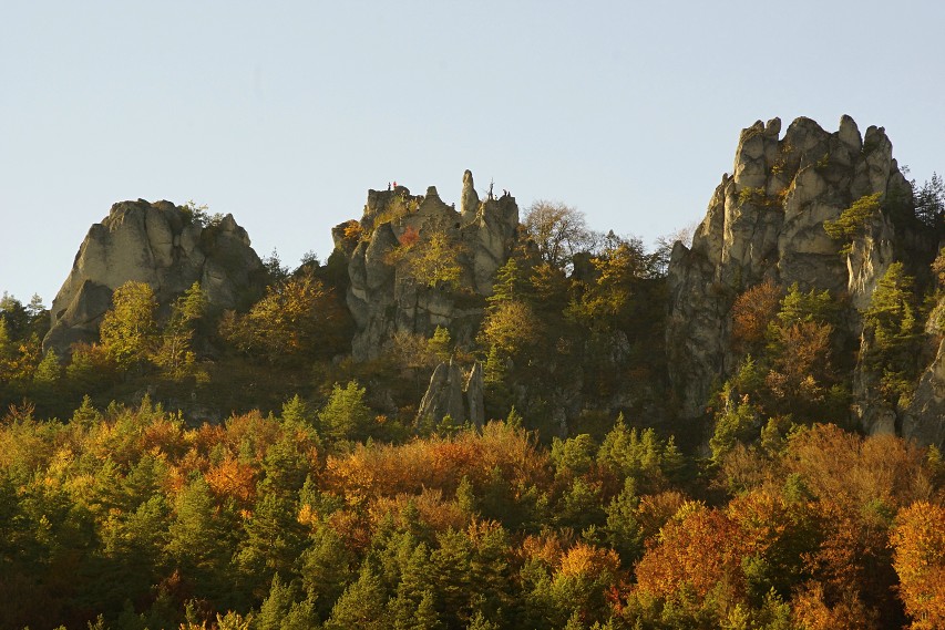 img00073.jpg