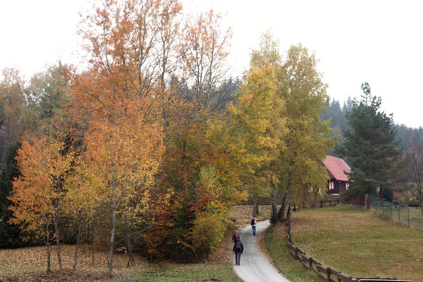 img00005.jpg