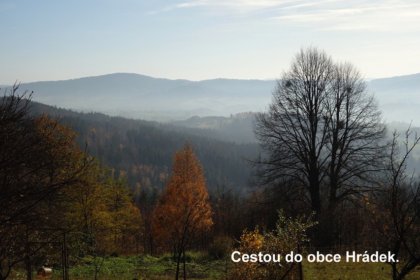 img00008.jpg