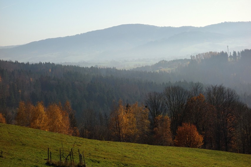 img00009.jpg