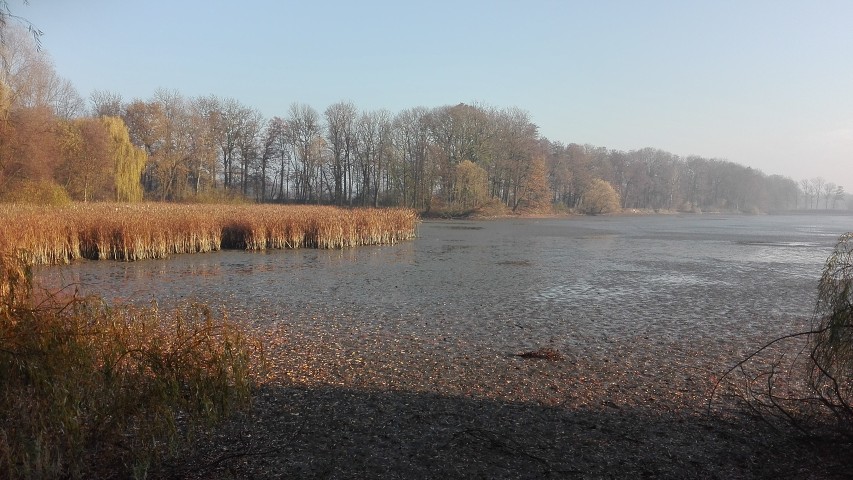 img00010.jpg