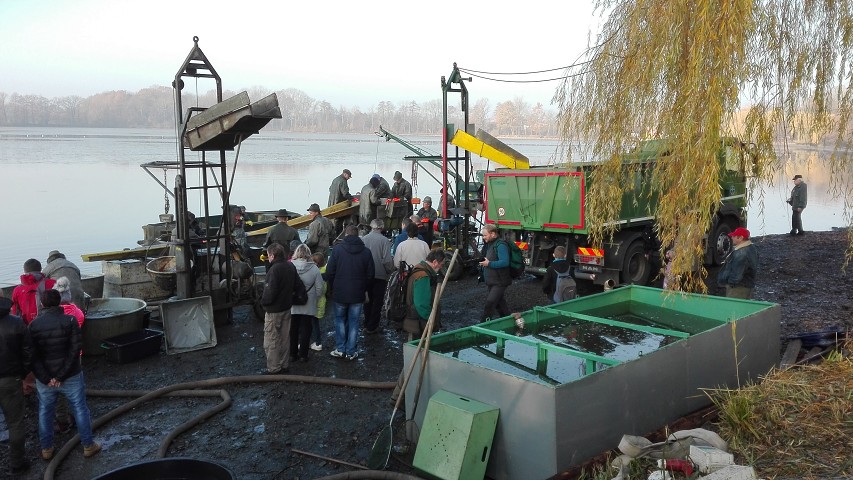 img00013.jpg