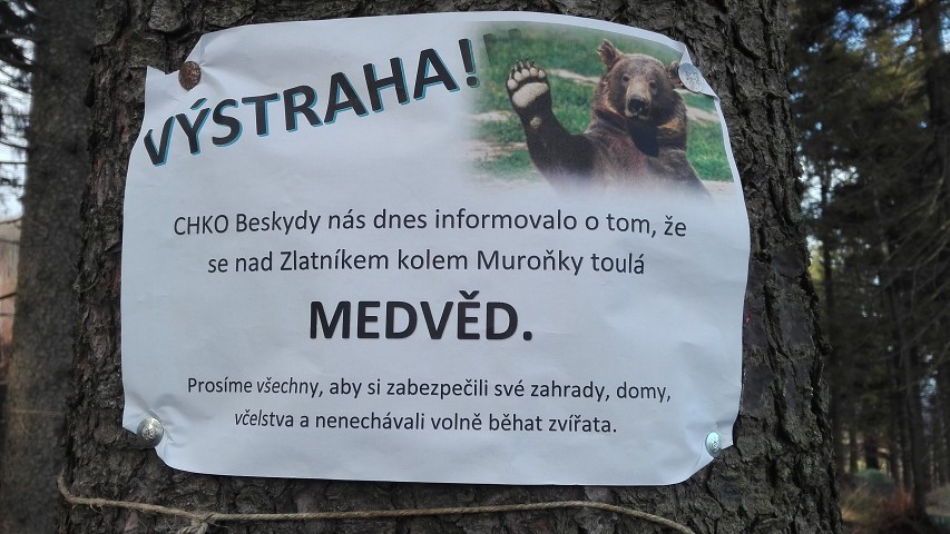 img00013.jpg