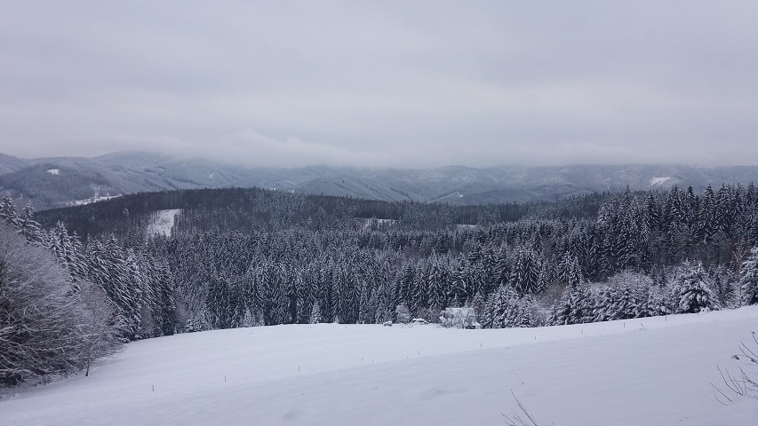 img00007.jpg
