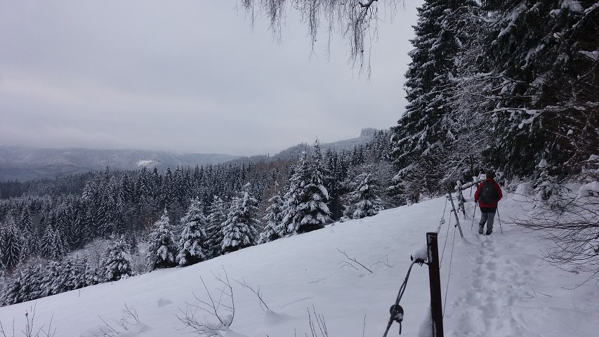 img00008.jpg